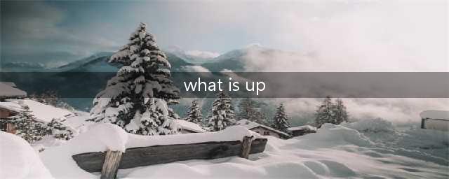 老外打招呼最常说的“What's up”是什么意思？如何正确回答？(what is up)