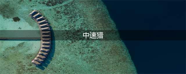 《炉石传说》中速猎怎么玩 中速猎玩法介绍(中速猎)