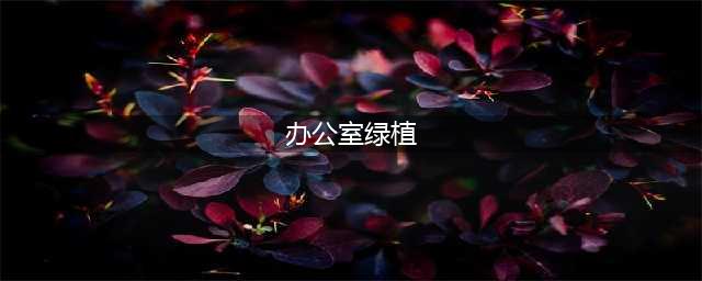 18种最好的大型室内植物，摆家里和办公室最好不过(办公室绿植)