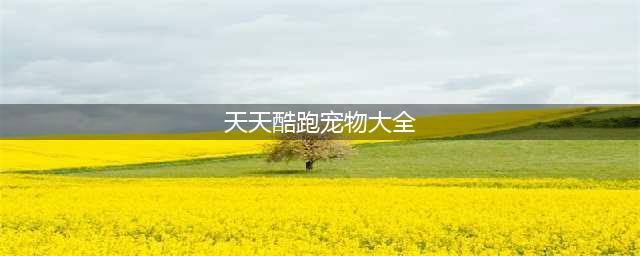天天酷跑最强宠物排行大全 新版宠物分析汇总(天天酷跑宠物大全)