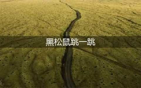 《跳一跳》黑松鼠外挂安卓版下载 跳一跳怎么玩(黑松鼠跳一跳)