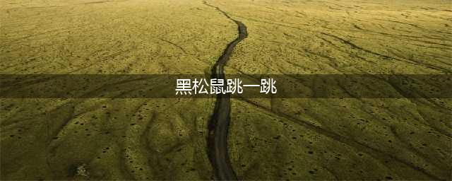 《跳一跳》黑松鼠外挂安卓版下载 跳一跳怎么玩(黑松鼠跳一跳)