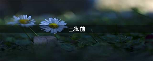 万国觉醒技巴御前技能解析 副将搭配与常用天赋推荐