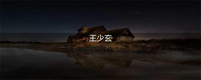 王少玄率队开展安全生产法执法检查(王少玄)