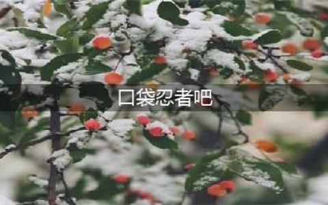 《口袋忍者》全S忍者加点方法(口袋忍者吧)