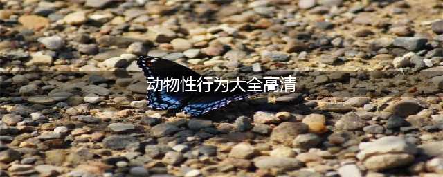 一个发情的季节，实拍各大动物精彩瞬间：全是技术(动物性行为大全高清)