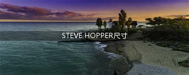 15 位健在的牛叉程序员，你知道哪几位？(STEVE HOPPER尺寸)