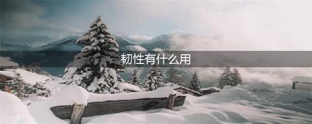《王者荣耀》韧性有什么用 韧性作用介绍(韧性有什么用)