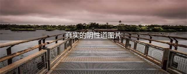 揭秘女性私密世界——高清镜头下的真实描述(真实的阴性道图片)
