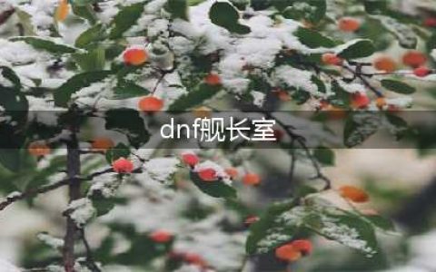 DNF寻找叛徒任务怎么做 寻找叛徒任务完成攻略(dnf舰长室)