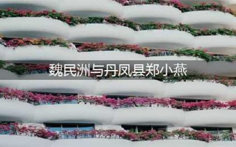 陕西：美女县委书记郑晓燕...(魏民洲与丹凤县郑小燕)