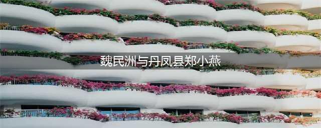 陕西：美女县委书记郑晓燕...(魏民洲与丹凤县郑小燕)