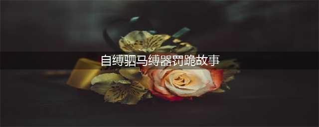 驷马之威——一种既奖励又惩罚的禁锢体验(自缚驷马缚器罚跪故事)