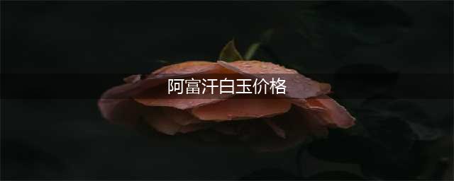 【阿富汗青白玉手镯】59元！赠鉴定证书+竹节手串！正宗阿富汗玉石，复古典雅圆镯！色如凝脂，光泽十足～(阿富汗白玉价格)