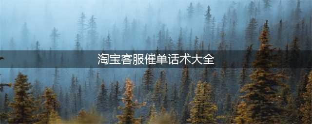 淘宝电商客服30条催付话术(淘宝客服催单话术大全)