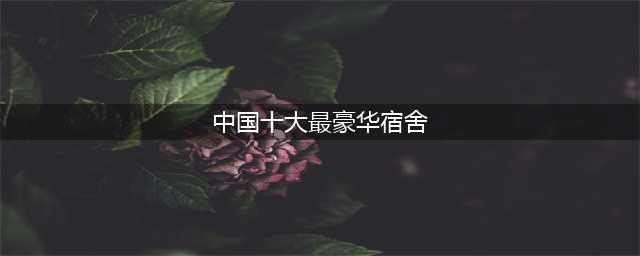 中国「最豪华」大学宿舍Top10，你的学校上榜了吗？(中国十大最豪华宿舍)