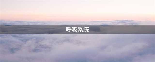 常见呼吸系统疾病科普(呼吸系统)