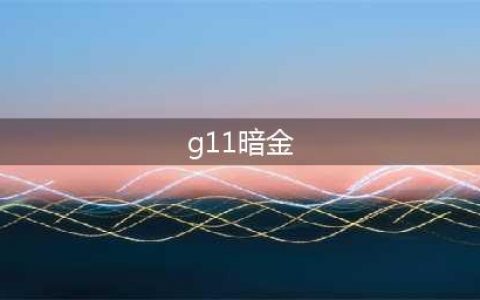 《CF》遗忘的神器 G11暗金评测(g11暗金)