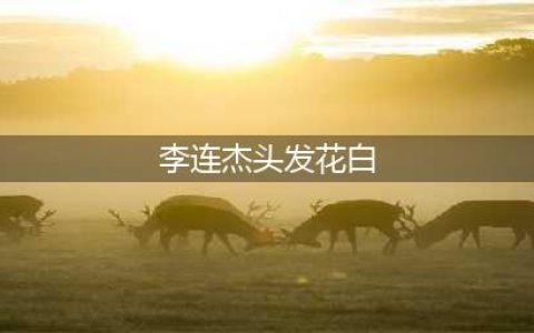 李连杰头发花白 戴棒球帽现身无人识 一路狂刷手机(李连杰头发花白)