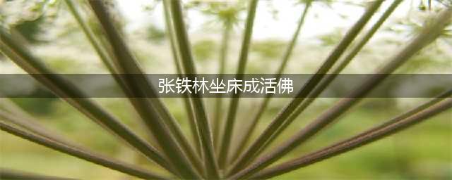 张铁林“坐床”成活佛？藏传佛教人士：整个都是在瞎搞(张铁林坐床成活佛)