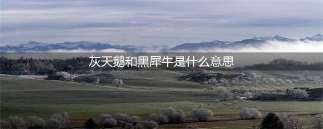【涨知识】 什么是“黑天鹅”和“灰犀牛”(灰天鹅和黑犀牛是什么意思)