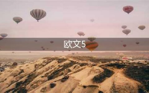 欧文5，你想知道的全在这儿了！(欧文5)