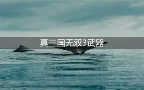 《真三国无双3》武器获取攻略大全及事件解析汇总(真三国无双3武器)