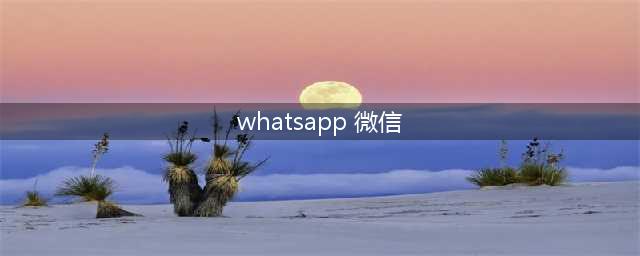 全面解析：了解WhatsApp和微信的主要区别、功能、用户群体与数据安全性(whatsapp 微信)
