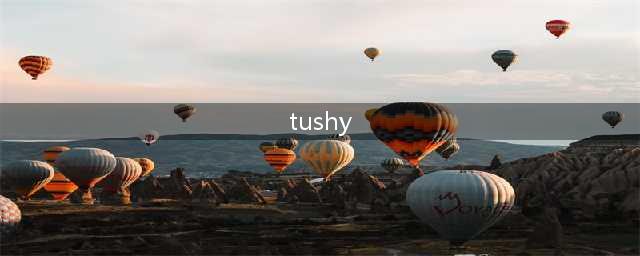 在恶趣味的成人片世界，有位追求高逼格的导演(tushy)