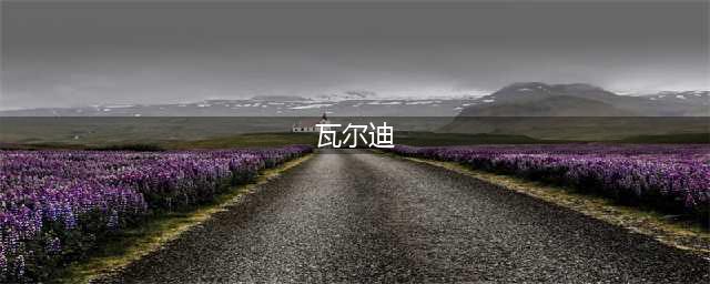 人物 | 瓦尔迪：莱斯特城一百年最励志传奇(瓦尔迪)