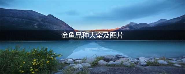 金鱼种类大全（非常值得收藏哦！）(金鱼品种大全及图片)