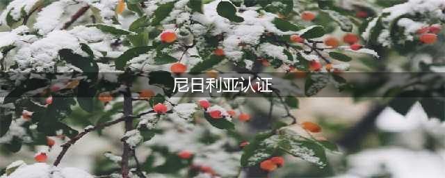 尼日利亚产品认证(尼日利亚认证)