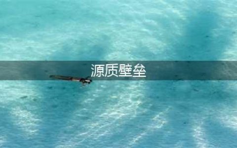 魔兽世界怀旧服源质壁垒怎么获得 源质壁垒获取方法
