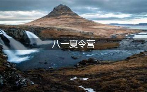 八一军事夏令营专业吗？到底好不好？(八一夏令营)