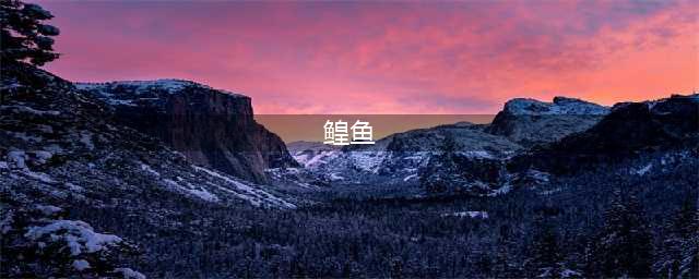 探秘古老的黑龙江大鱼——鳇鱼(鳇鱼)