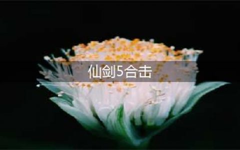 仙剑奇侠传5合击技使用方法和合击技触发条件一览(仙剑5合击)