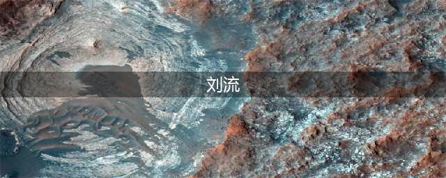 刘流为什么退出赵本山的本山传媒公司？(刘流)