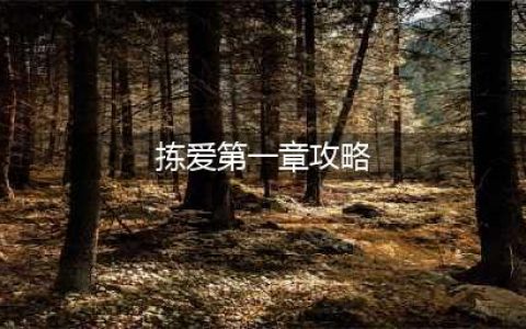 拣爱第一章怎么过?拣爱第一章攻略