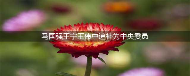 马国强、王宁、王伟中，递补为中央委员会委员(马国强王宁王伟中递补为中央委员)