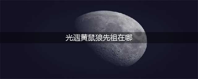 光遇黄鼠狼先祖位置