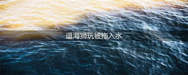 逗海狮玩被拖入水 虽然海狮呆萌可爱但还是要注意安全(逗海狮玩被拖入水)