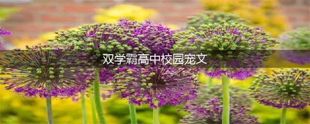 五本男女主双学霸的甜宠文：糖分过量甜到苏，学习恋爱两不误(双学霸高中校园宠文)