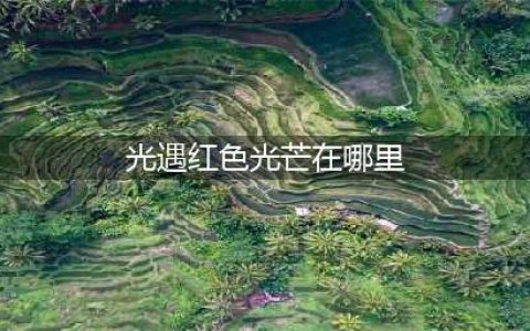 光遇红色光芒在哪