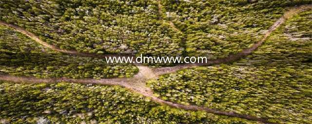 DMM是什么？日本dmm平台介绍及账号注册流程(www.dmwww.com)
