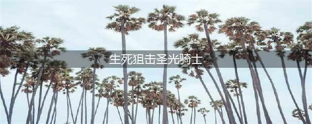 《生死狙击》圣光骑士好号密码大全 免费玩没人挤(生死狙击圣光骑士)