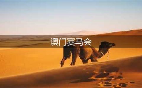 澳门马会：澳门赛马正式落幕，完成历史任务！(澳门赛马会)