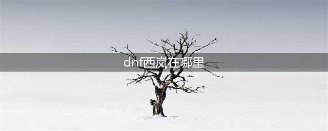 《dnf》西岚NPC在哪里 西岚NPC位置分享(dnf西岚在哪里)