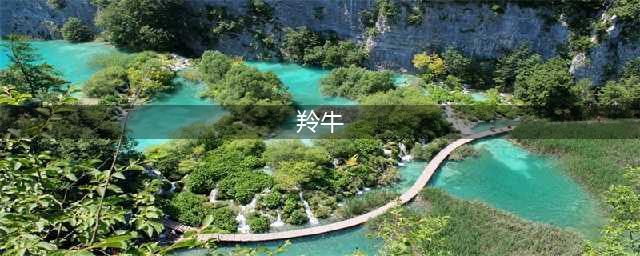 牛羚，羚牛？不再傻傻分不清楚(羚牛)