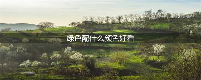 设计师必看9大配色法则(绿色配什么颜色好看)