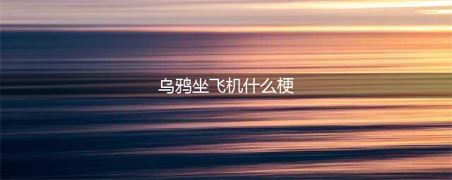 乌鸦坐飞机是什么梗 乌鸦坐飞机是什么意思(乌鸦坐飞机什么梗)